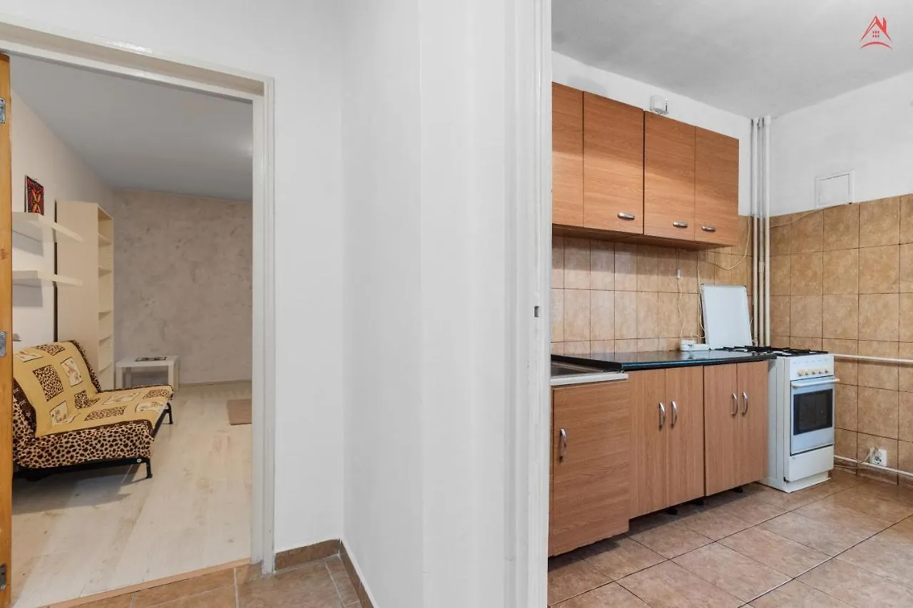 Dristor Large And Cozy Apartment Bucharest